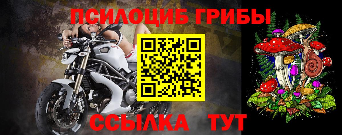Галлюциногенные грибы мицелий Шали