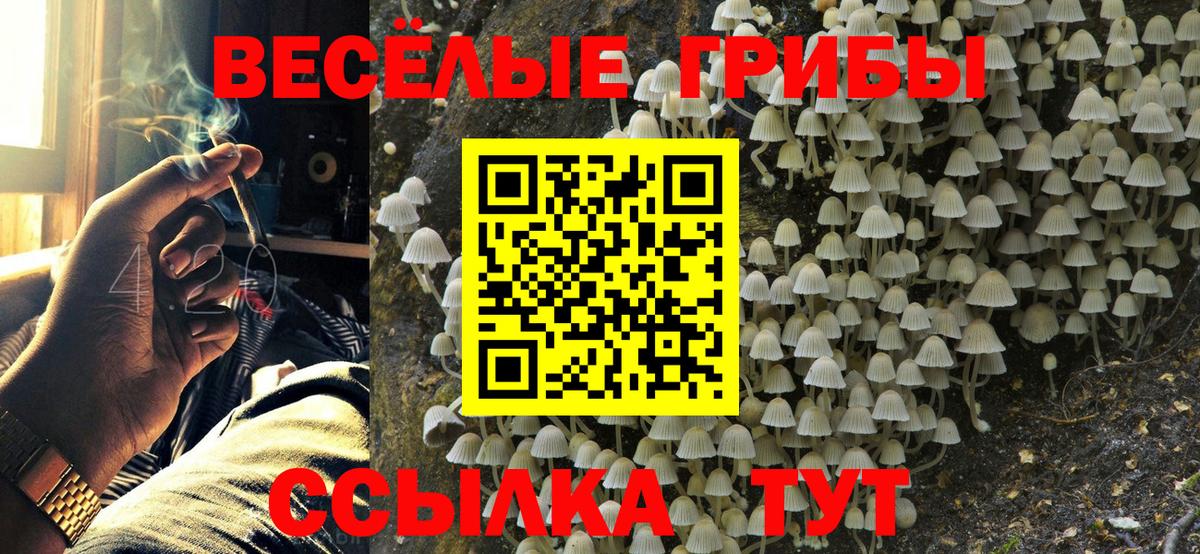 Шали  хочу наркоту  Вход с VPN  Псилоцибиновые грибы Psilocybine cubensis  Псилоцибиновые грибы MAGIC MUSHROOMS 